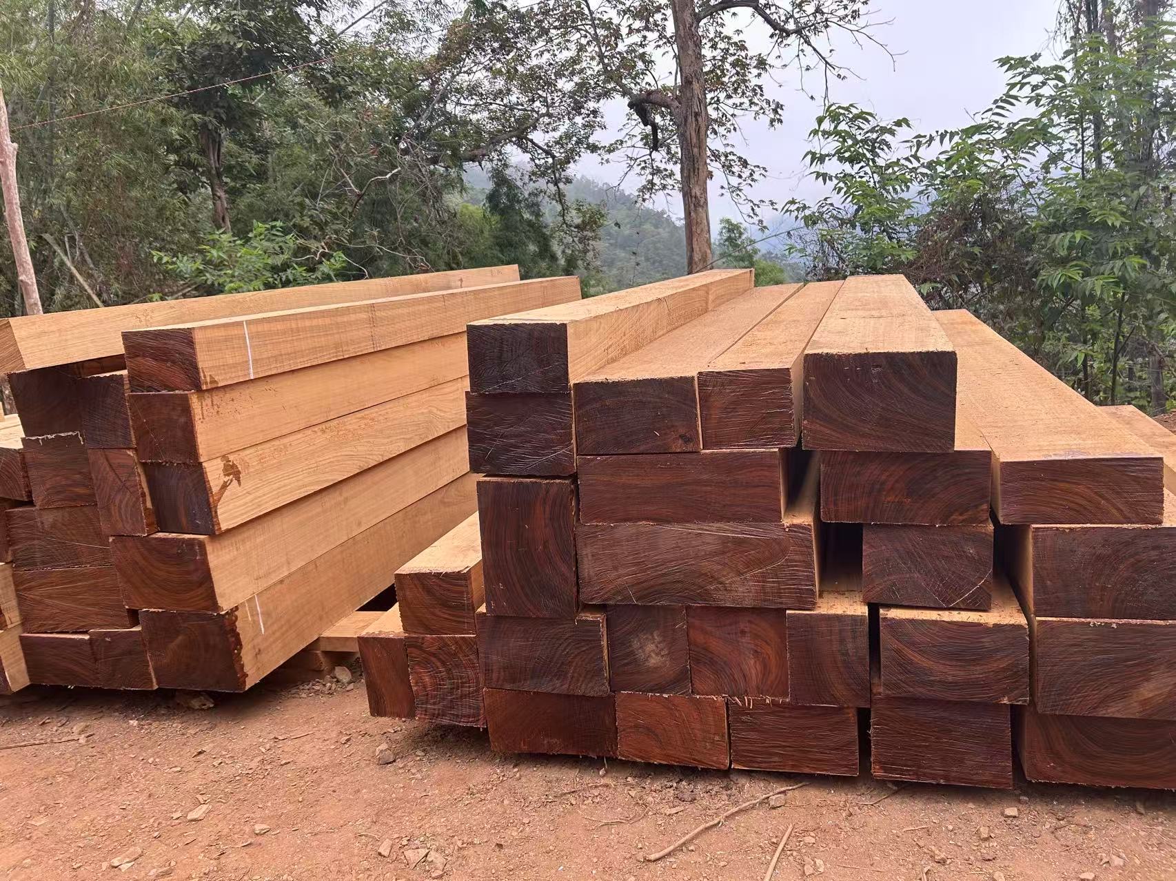 070f9170b2aa655a5d4cab0740db047c