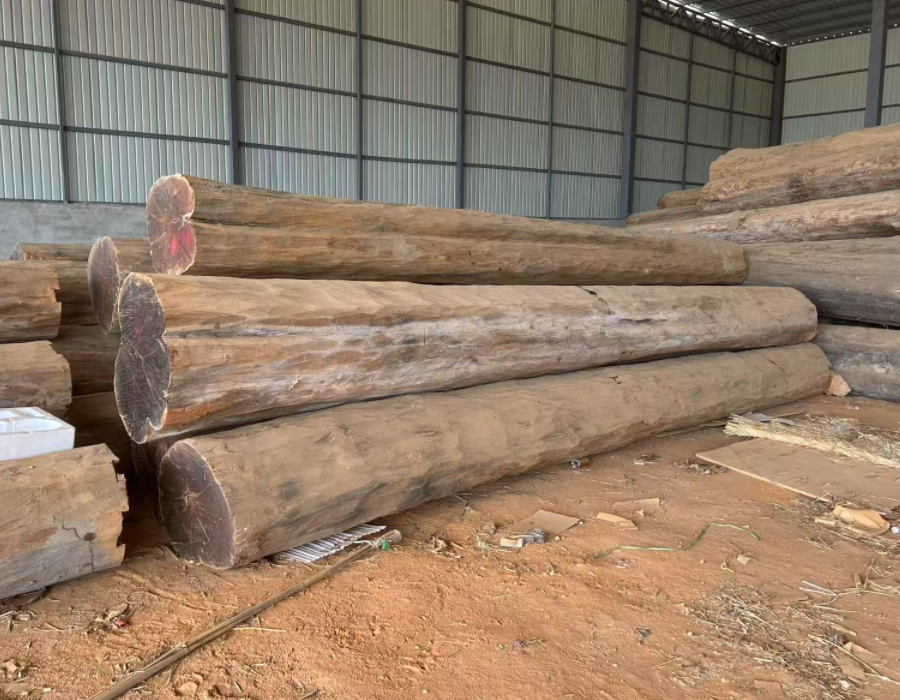 screenshot 2026 02 15 170534 709