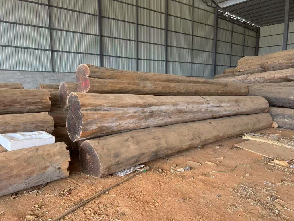 c8b02b15b9870e26c477d46a211b9124